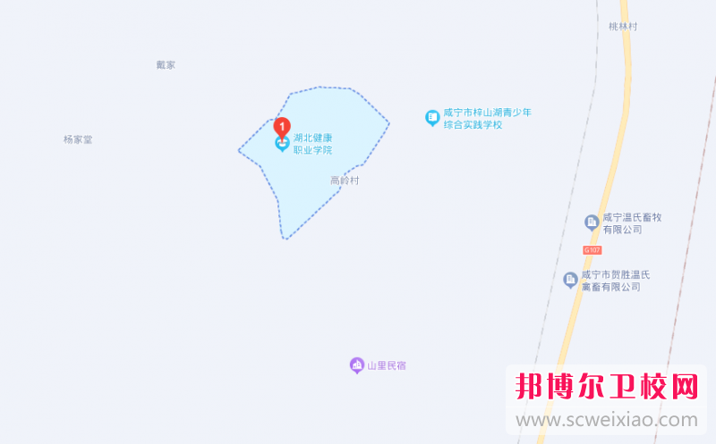 湖北健康職業(yè)學(xué)院地址在哪里，哪個(gè)地區(qū)，哪個(gè)城市?