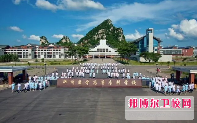 2023柳州醫(yī)學高等專科學校附屬中等衛(wèi)生學校有哪些專業(yè) 柳州醫(yī)學高等?？茖W校附屬中等衛(wèi)生學校開設的專業(yè)一覽表