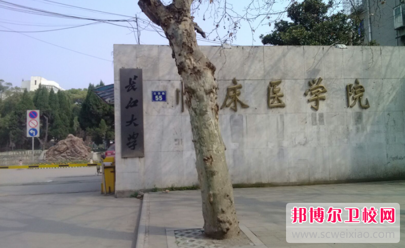 2023長(zhǎng)江大學(xué)醫(yī)學(xué)院有哪些專業(yè) 長(zhǎng)江大學(xué)醫(yī)學(xué)院開設(shè)的專業(yè)一覽表