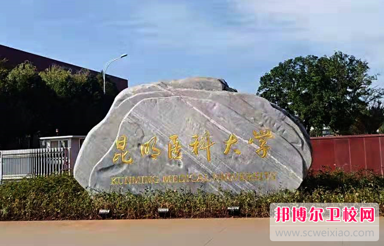 云南2023年哪些大學(xué)有護(hù)理學(xué)校大專