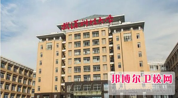 湖北2024年哪個護理學校比較好